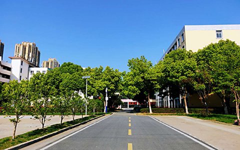 樂山欣欣藝術(shù)職業(yè)學(xué)校有哪些專業(yè)?服裝設(shè)計與工藝類專業(yè)好不好